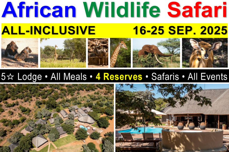 Africa Wildlife Safari - All-Inclusive - Sep. 2025
All-Inclusive: Lodging, Meals, Events, Big-5 Safaris & more INCLUDED!
8+ Wildlife Drives • Night Safaris • Campfire Dinners • Four Wildlife Reserves • Tribal Night • Bush Walks/Hikes • Events & more!
Malaria Free, Private Waterberg Mountains Reserve.