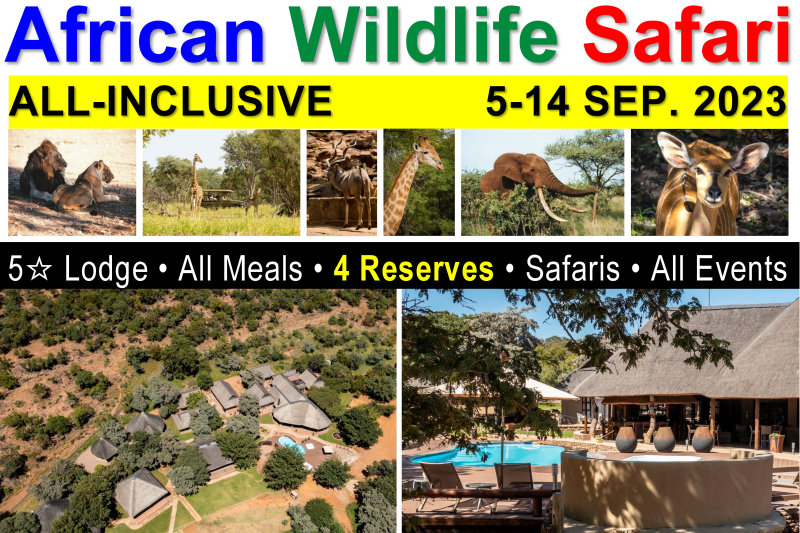 Africa Wildlife Safari - All-Inclusive - 5-14 September 2023
All-Inclusive: Lodging, Meals, Events, Big-5 Safaris & more INCLUDED!
8+ Wildlife Drives • Night Safaris • Campfire Dinners • Four Wildlife Reserves • Tribal Night • Bush Walks/Hikes • Events & more!
Malaria Free, Private Waterberg Mountains Reserve.