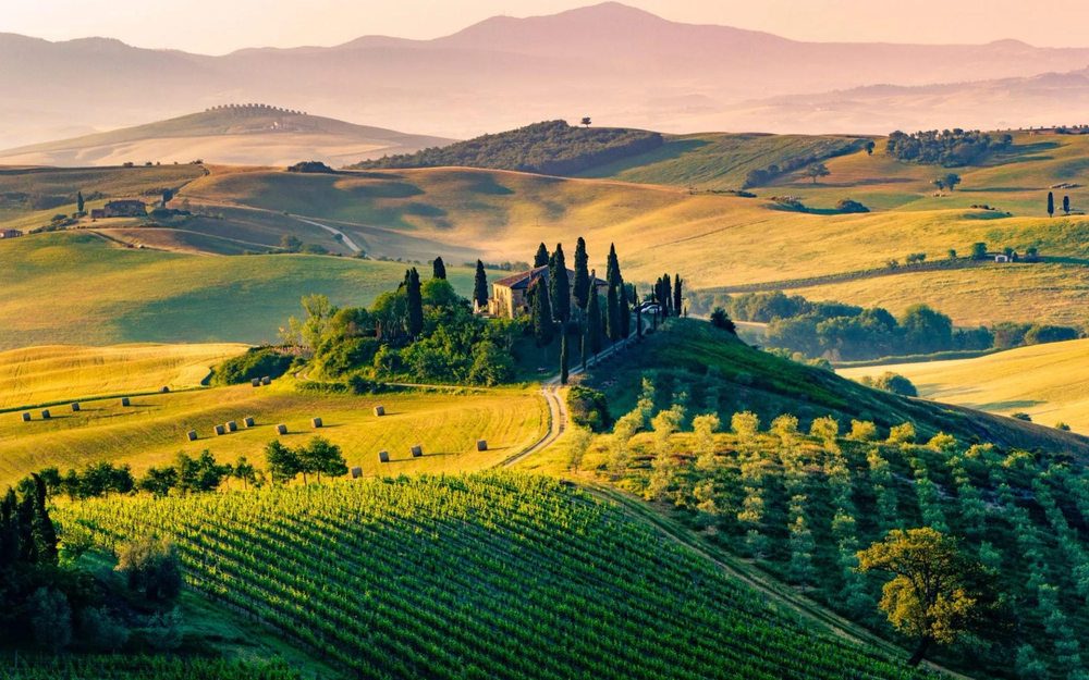 Rolling Tuscan hills, vineyards, olive groves and cypress trees in Tuscany, Italy