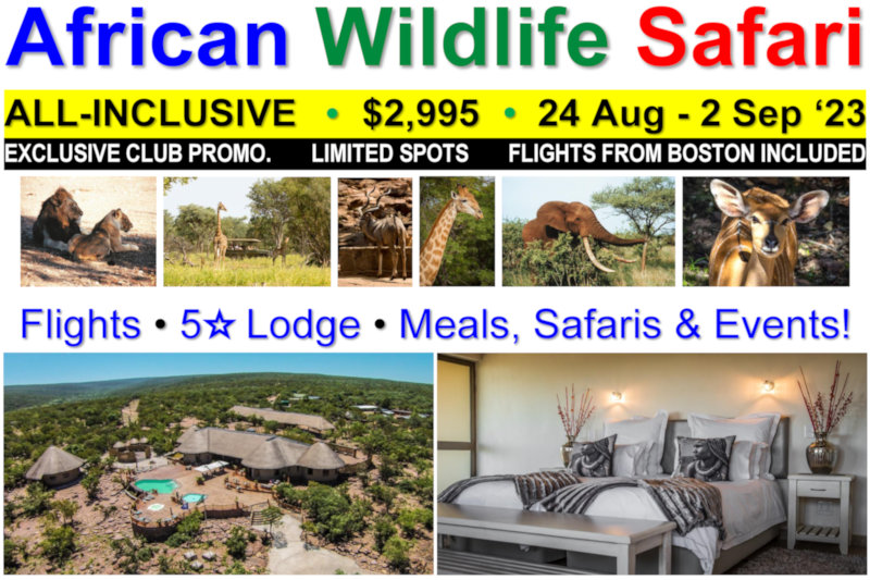 Africa Wildlife Safari - All-Inclusive - 4 Aug. - 2 Sep. 2023