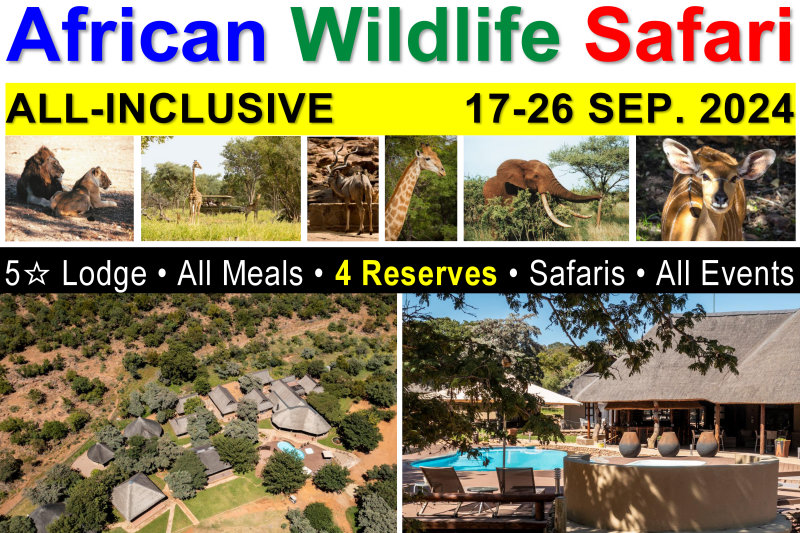 Africa Wildlife Safari - All-Inclusive - Sep. 2024
All-Inclusive: Lodging, Meals, Events, Big-5 Safaris & more INCLUDED!
8+ Wildlife Drives • Night Safaris • Campfire Dinners • Four Wildlife Reserves • Tribal Night • Bush Walks/Hikes • Events & more!
Malaria Free, Private Waterberg Mountains Reserve.