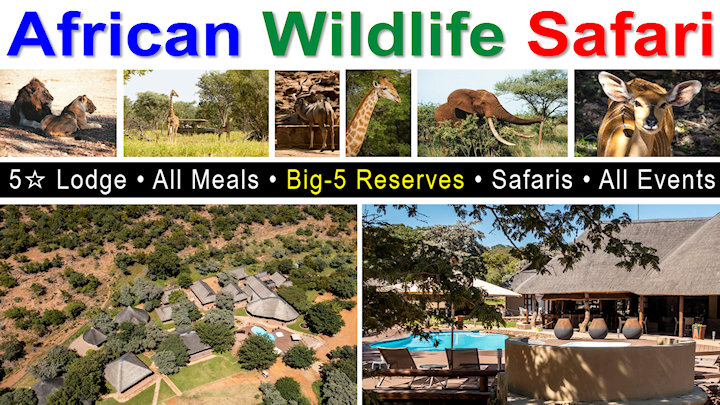 African Wildlife Safari September 2026 | All-Inclusive, Big Five, All Meals  & Events